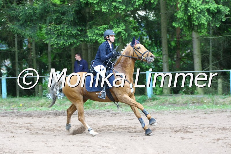 104M6965_Bonita_Stil L.JPG